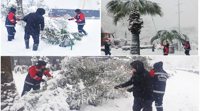 AĞAÇ DALLARI KAR YÜKÜNDEN TEMİZLENİYOR 