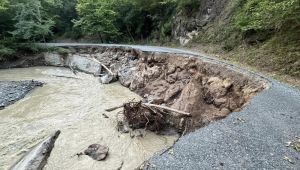 - Düzce Yedigöller yolunun çökmesi sebebiyle yol trafiğe kapandı