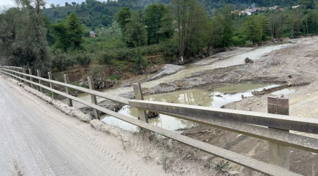 - Köprünün demirlerini çaldılar