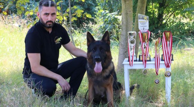 - Hayatını köpeklerine adadı, şimdi de gözünü dünya şampiyonluğuna dikti