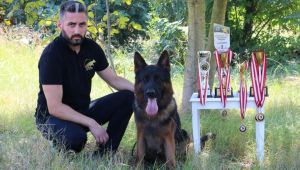 - Hayatını köpeklerine adadı, şimdi de gözünü dünya şampiyonluğuna dikti