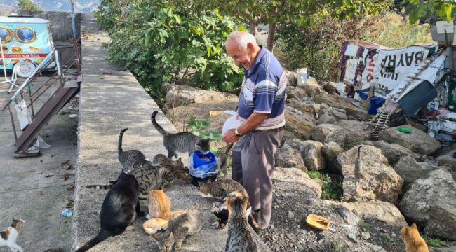 - Emekli işçi, 100 kedinin 'dedesi' oldu, maaşını onlar için harcıyor