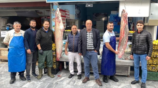 - İki kişinin zor taşıdığı balıklar tezgahın gözdesi oldu