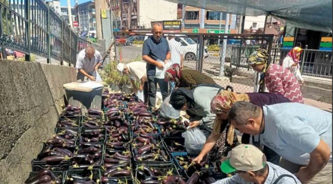 Üretim fazlası 5 ton patlıcanı yüzlerce kişiye bedava dağıttılar