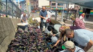 Üretim fazlası 5 ton patlıcanı yüzlerce kişiye bedava dağıttılar